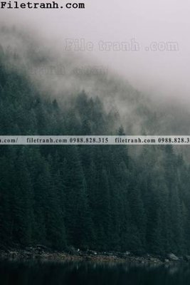 Download file gốc phong canh rung suong mu 156 (in mica) 3D