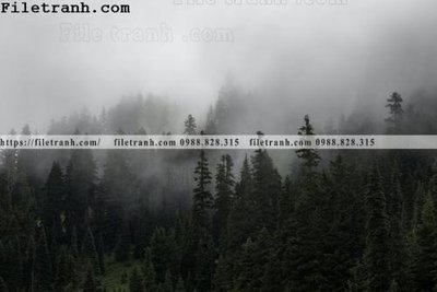 File gốc phong canh rung suong mu 162 (in mica) cắt laser