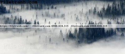 File in trần phong canh rung suong mu 164 (bản gốc) bầu trời