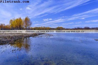 Mua file ảnh gốc phong canh thao nguyen Mong Co 103 (chất lượng cao)