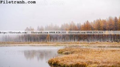 Tải file gốc in lụa phong canh thao nguyen Mong Co 112 siêu nét