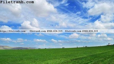 File ảnh phong canh thao nguyen Mong Co 119 (gốc) trang trí khách sạn