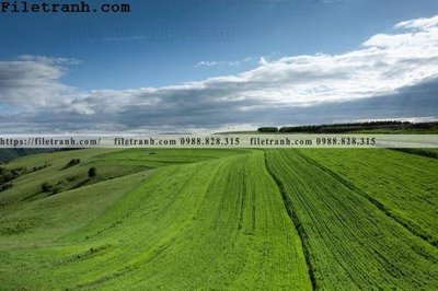 File gốc phong canh thao nguyen Mong Co 146 (chuẩn CMYK) cho nhà in