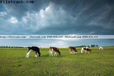 File in trần phong canh thao nguyen Mong Co 153 (bản gốc 3D) sống động