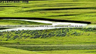 Tải file gốc phong canh thao nguyen Mong Co 168 (để in lụa)