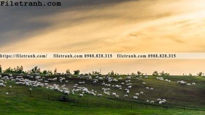 File tranh phong canh thao nguyen Mong Co 175 (bản gốc) treo quán cafe