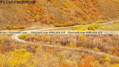 File tranh phong canh thao nguyen Mong Co 181 (bản gốc) in lụa 5D