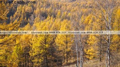 Tải file phong canh thao nguyen Mong Co 182 (gốc) làm file tranh quảng cáo