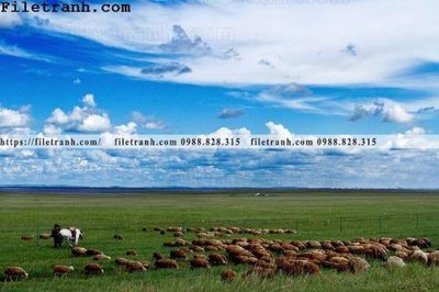 Ảnh mô tả file gốc in mica phong canh thao nguyen Mong Co 190