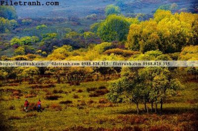 File in trần phong canh thao nguyen Mong Co 199 (bản gốc) phong cảnh