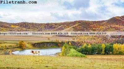 File gốc phong canh thao nguyen Mong Co 213 (in tráng gương) sang trọng