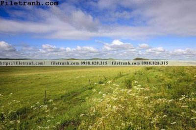 File in mica phong canh thao nguyen Mong Co 221 (bản gốc) siêu trong