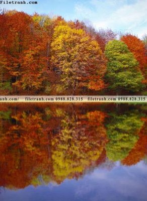 Tải về file gốc phong canh tranh don dang dung 506 (chuẩn in ấn)