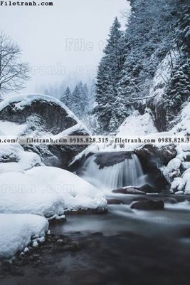 File gốc phong canh tranh don dang dung 554 (AI/EPS) cho in ấn