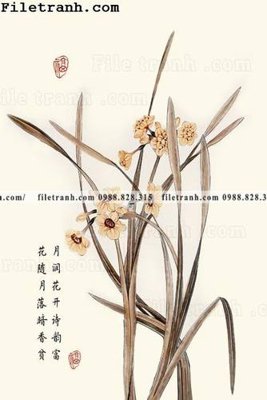 File gốc phong tuc dan gian moi cua Trung Quoc 100 (PNG) chất lượng cao