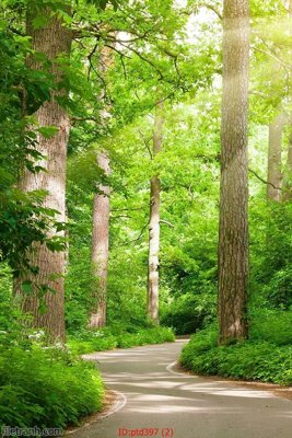 File in trần File phong thủy đứng thác nước PTD397 (file gốc) chủ đề vũ trụ