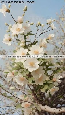 File in trần tinh vat hoa My 142 (file gốc) chủ đề vũ trụ