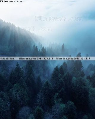 Hình ảnh file gốc in trần nhà tran don 1 tam phong canh 105