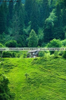 Ảnh gốc tran don 1 tam phong canh 141 (độ nét cao) in mica