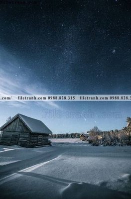 Ảnh gốc tran don 1 tam phong canh 146 (độ nét cao) in tráng gương