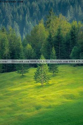 File gốc tran don 1 tam phong canh 157 (in ấn) màu sắc trung thực