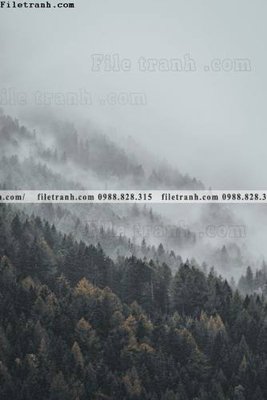 File gốc tran don 1 tam phong canh 161 (phong cách) tối giản