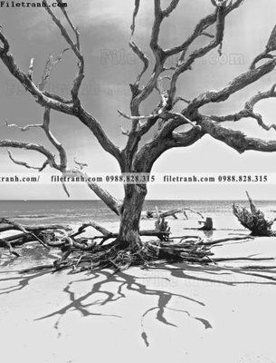 Tải file gốc tran don 1 tam phong canh 199 (in tráng gương) 3DFile gốc tran don 1 tam phong canh 199 (sẵn sàng in) chất lượng cao