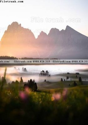 Tải file gốc tran don 1 tam phong canh 250 (in tráng gương) 5DFile gốc tran don 1 tam phong canh 250 (in ấn) phiên bản premium