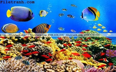 File gốc tranh 3D the gioi duoi nuoc dai duong 114 (chủ đề hiện đại) trang trí