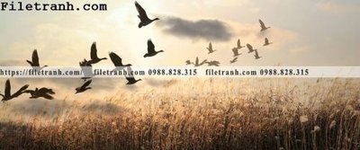 File ảnh gốc tranh banner dau giuong bang su pha le 219 (chuyên in mica)