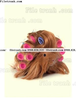 Download file tranh tranh bo bac au tuoi moi 669 (file gốc PSD)