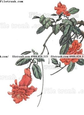 Tải file tranh co ve trung quoc 598 (gốc) làm file in ấn