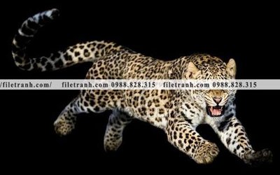 File tranh ảnh gốc tranh con bao 655 dùng cho in khổ lớn