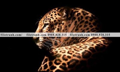 File in trần tranh con bao 660 (bản gốc 3D) sống động