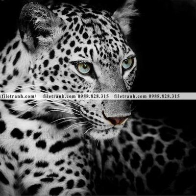 File gốc tranh con bao 676 (phiên bản chuẩn) để in ấn