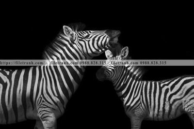 Tải file tranh con ngua van 507 (ảnh gốc) độ phân giải 300dpi