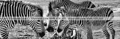 File tranh gốc tranh con ngua van 508 chủ đề hiện đại