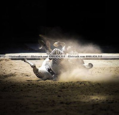 File tranh tranh con ngua van 518 (gốc) in trên kính