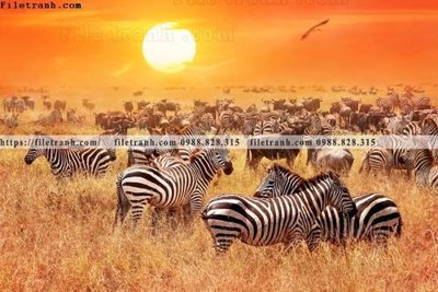 File tranh tranh con ngua van 520 (gốc) chủ đề trẻ em