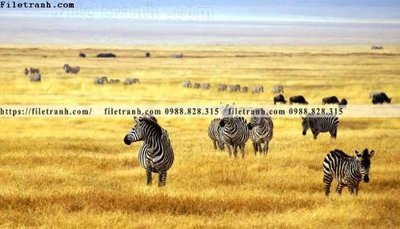 Tải file tranh con ngua van 529 (gốc) chủ đề hoa sen