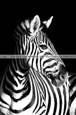 Tải về file gốc tranh con ngua van 534 (chuẩn in ấn)