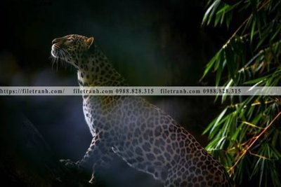 File tranh tranh con su tu 509 (bản gốc) in lụa 5D