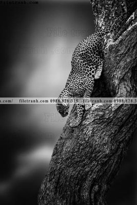 Download file gốc tranh con su tu 516 (in lụa) nghệ thuật