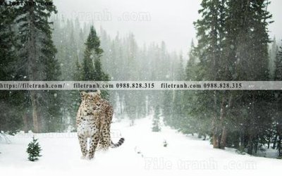 Tải file gốc tranh con su tu 518 (bản PSD) chỉnh sửa được