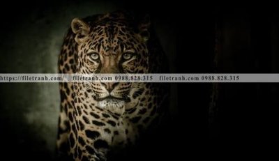 File gốc tranh con su tu 521 (cho in UV) siêu nét