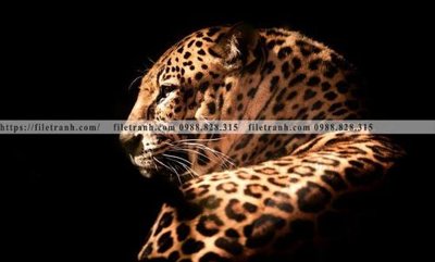 File in trần tranh con su tu 522 (file gốc) chủ đề vũ trụ