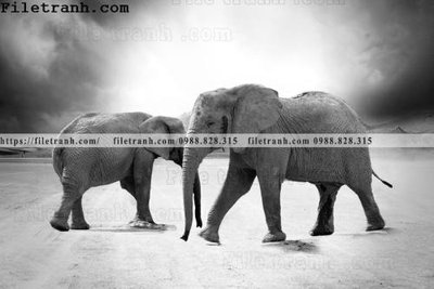 File tranh tranh con voi 107 (ảnh gốc) độ nét vượt trội