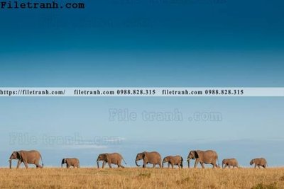 File gốc tranh con voi 113 (in mica) trang trí