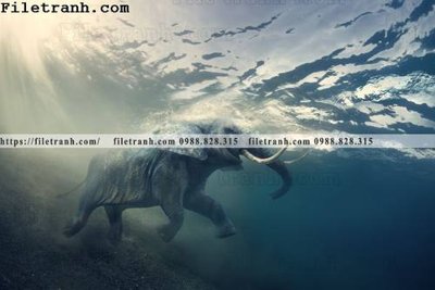 File gốc tranh con voi 116 (PNG) không nền chất lượng