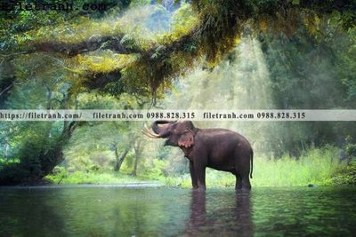 File tranh ảnh gốc tranh con voi 119 dùng cho in khổ lớn